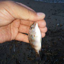 キスはどこへ…？