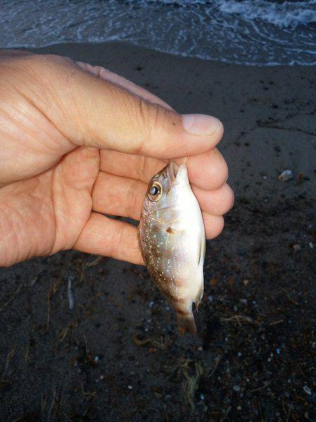 キスはどこへ…？