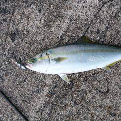 やっと気配が…