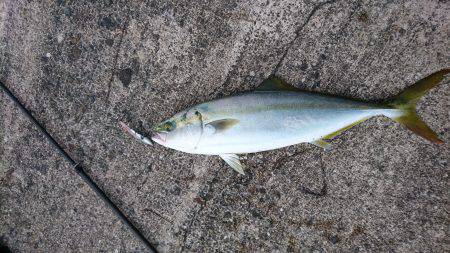 やっと気配が…