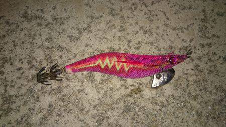 仕事終わりのアオリ調査