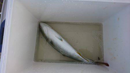 ショアジギング