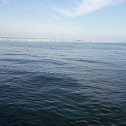 ショアジギでツバス