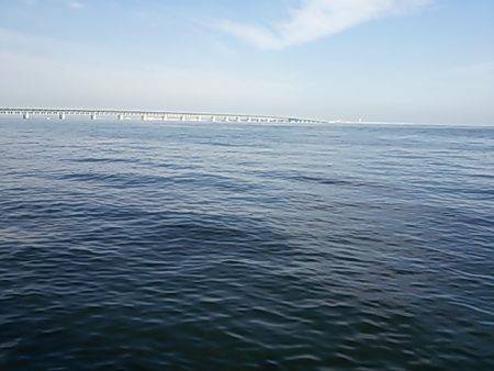 ショアジギでツバス