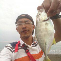 メタルマルがハマりました。