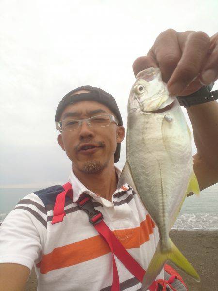 メタルマルがハマりました。