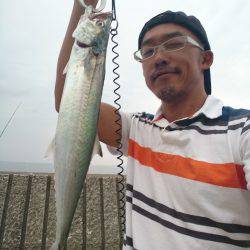 カマスまわってきてます！