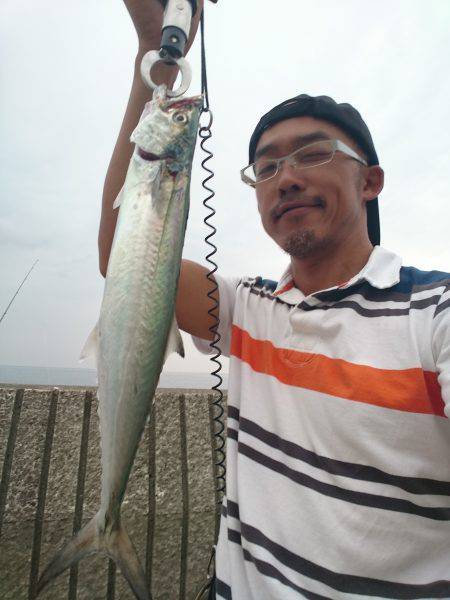 カマスまわってきてます！