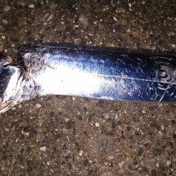 あわせ下手くそ！