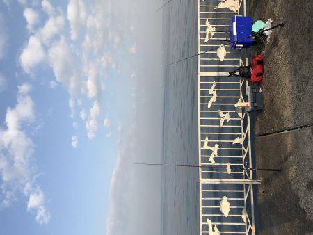 楽しかった〜‼️