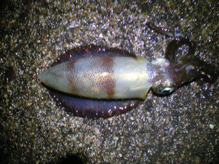 台風が来る前に