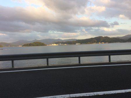 アコウがつれた