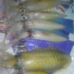 キャップテンマックス