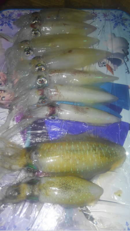 キャップテンマックス