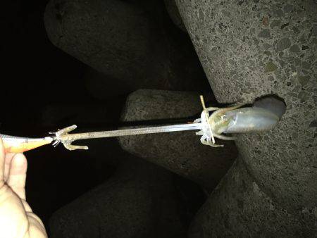 先週の台風の影響？