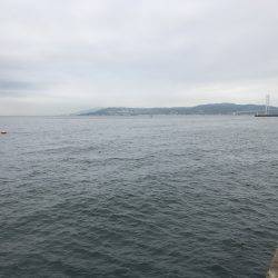 なんとか、ボウズは…。