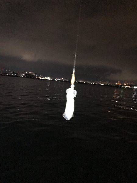 試し釣り&初調査