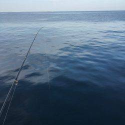 岸和田渡船で一文字にて