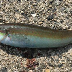 飽きのこない程度に…。