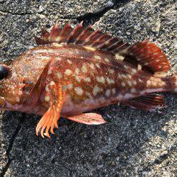 場所が変われば…。