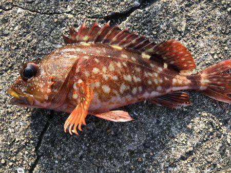 場所が変われば…。