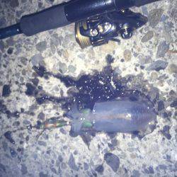 深夜からのランガン