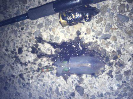 深夜からのランガン