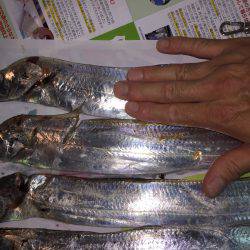 1年振りのWヘッダー‼️