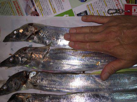 1年振りのWヘッダー‼️