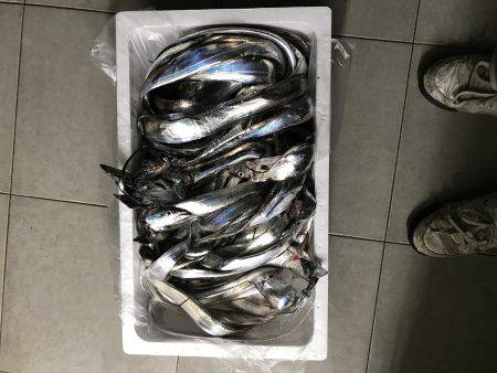 タチウオの処理に追われる男。