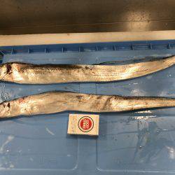 日本で1番タチウオを釣り上げた男。(仮)