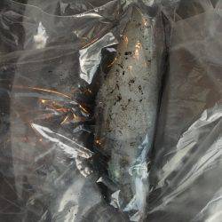 台風後の様子見