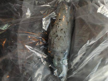 台風後の様子見