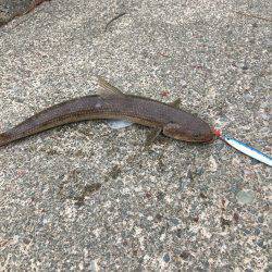 少しずつ成長してる…？？？