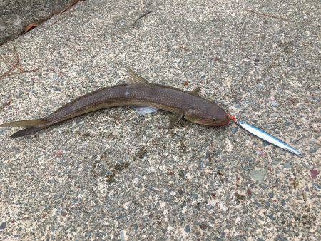 少しずつ成長してる…？？？