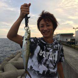 穴場でサゴシきたー