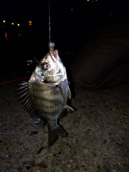 久々にエサ釣り