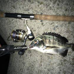 調子乗っちゃって！