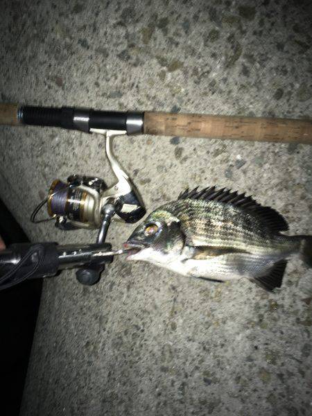 調子乗っちゃって！