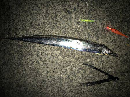 タチウオに変更