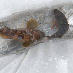 天気予報より風強い‼︎ 雨