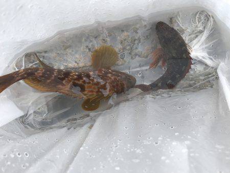 天気予報より風強い‼︎ 雨