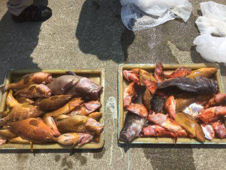 生アジのませ釣り 香住 旬香丸