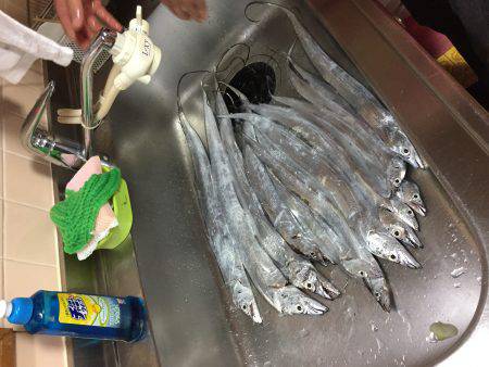 シーサイドコスモ