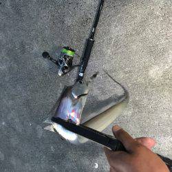 1時間のために。