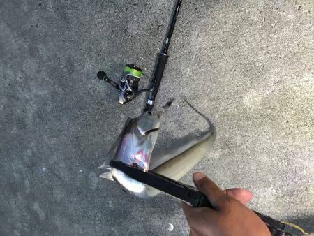 1時間のために。