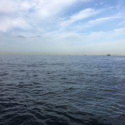 マイポイントで朝練