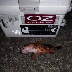 ガジリングにはまってます‼️