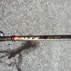 帰り道ケンサキ