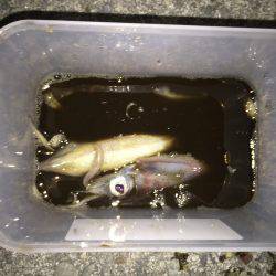 二夜連続チャレンジ